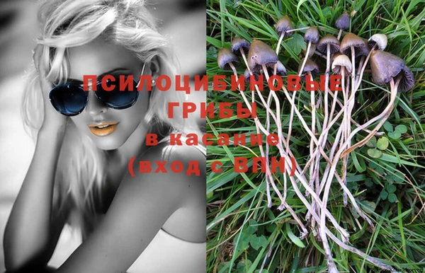 прущий лед Семёнов