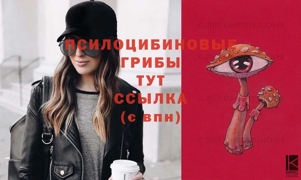 соль ск Семикаракорск
